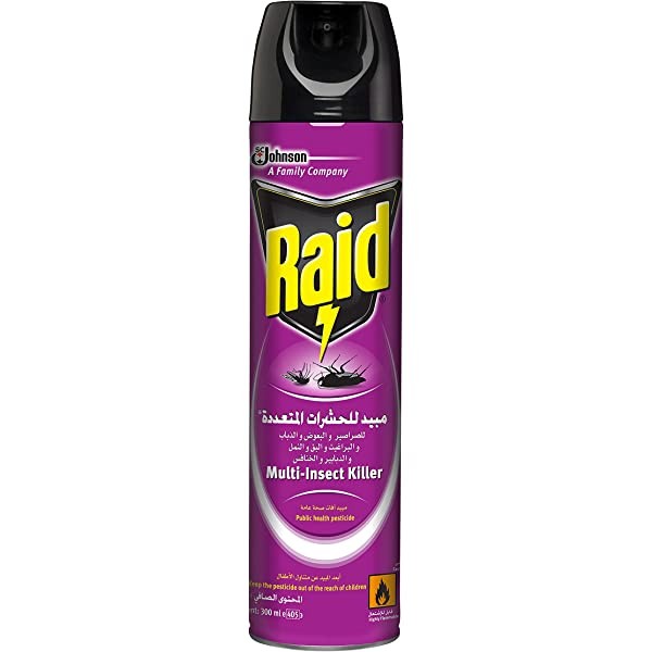 INSECT KILLER RAID 300ML